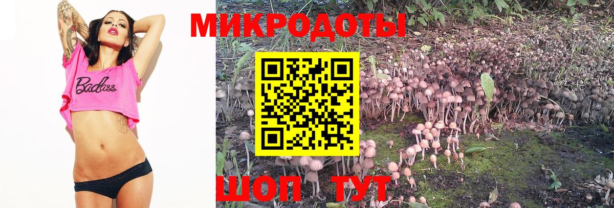 Псилоцибиновые грибы MAGIC MUSHROOMS Янаул